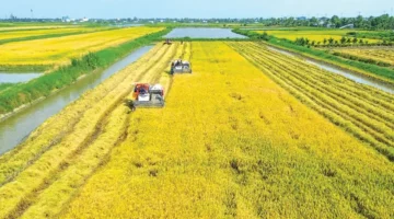 تغير لافت الربيع في أرض الأبطال هذا الموسم